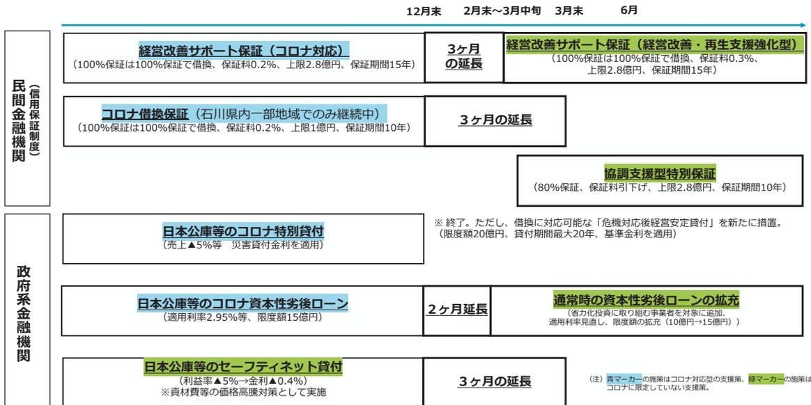 Timeline diagram of financial support measures for SMEs from December to June. It categorizes measures into '民間金融機関' (Private Financial Institutions) and '政府系金融機関' (Government-affiliated Financial Institutions).