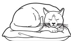 A simple line drawing of a cat curled up asleep on a small, rectangular cushion or mat.
